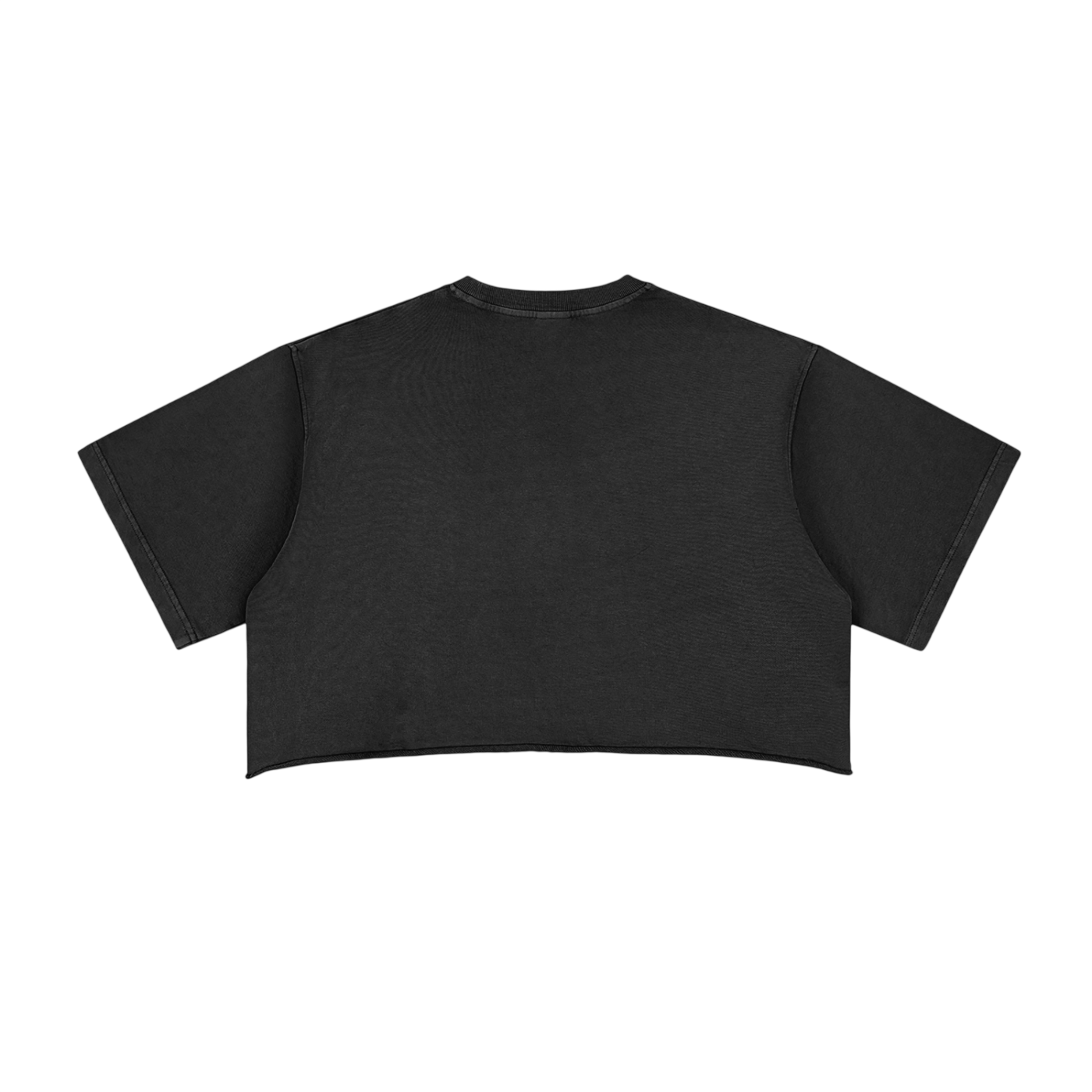 Snow Washed Raw Edge Crop Top
